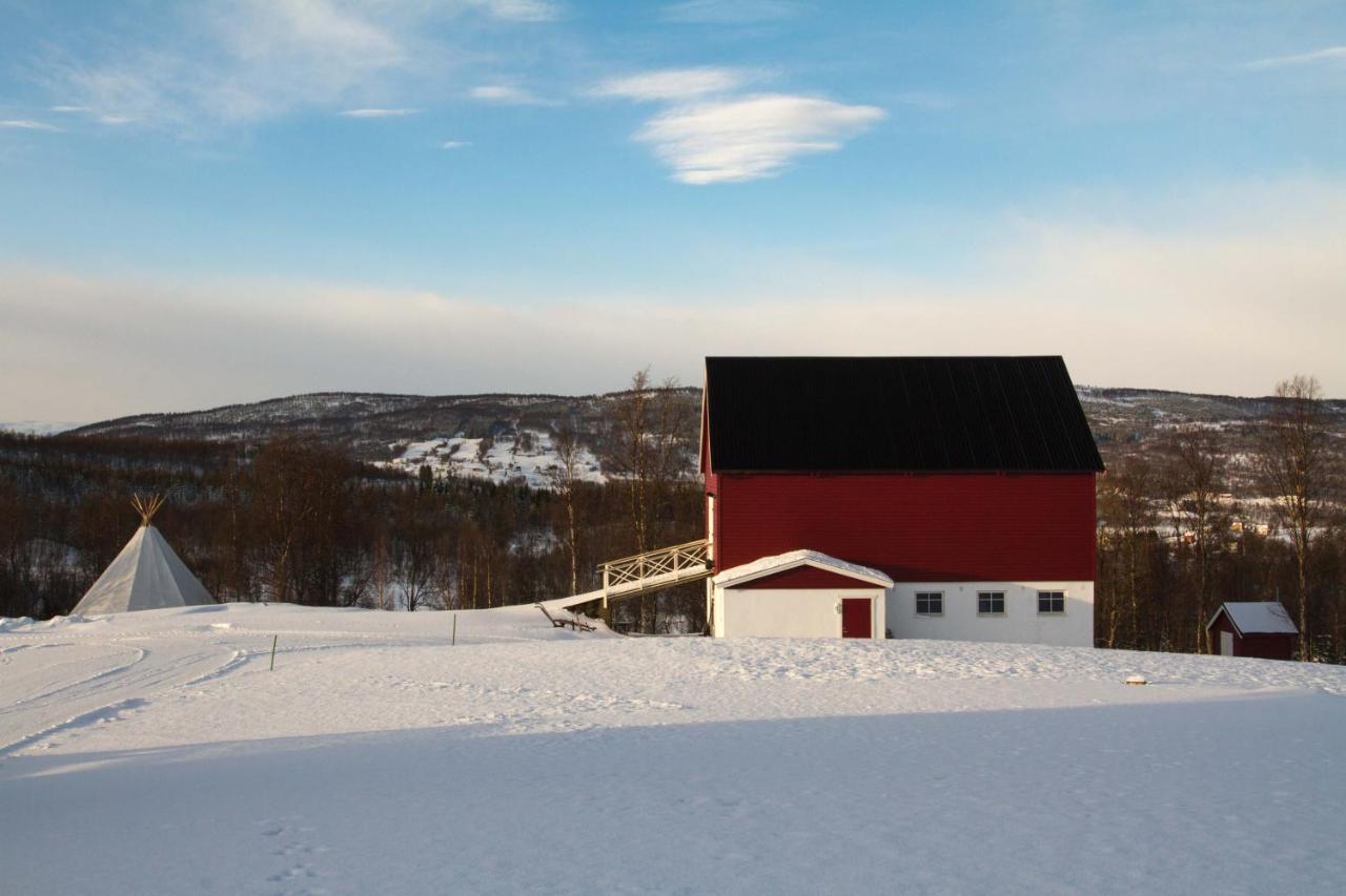 Aurora Borealis Observatory Silsand Kültér fotó