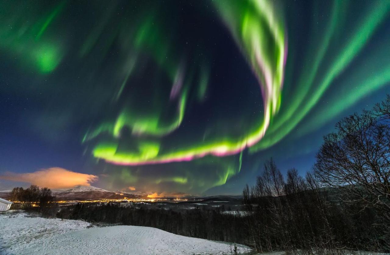 Aurora Borealis Observatory Silsand Kültér fotó