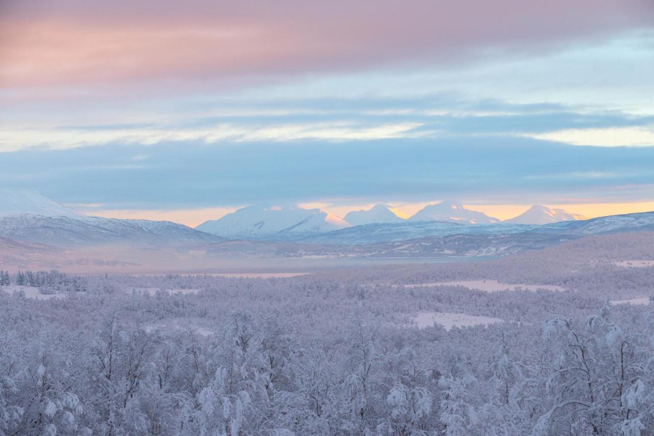 Aurora Borealis Observatory Silsand Kültér fotó