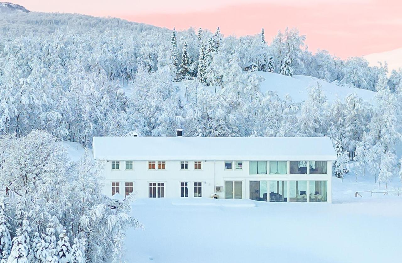 Aurora Borealis Observatory Silsand Kültér fotó